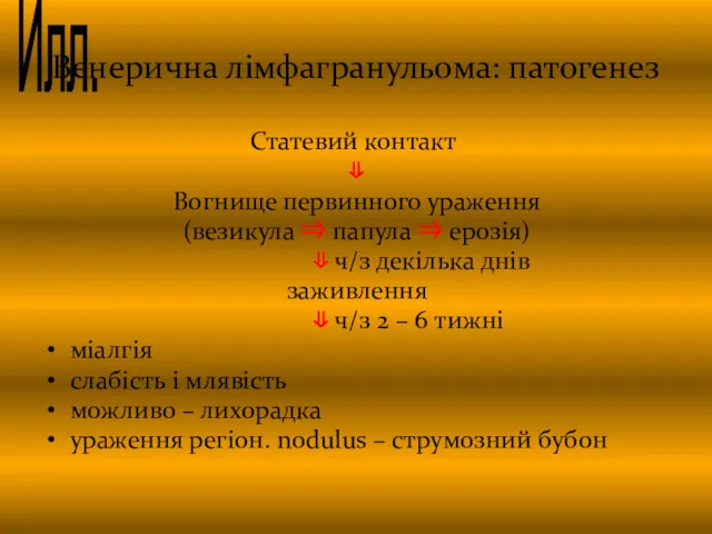 Венерична лімфагранульома: патогенез Статевий контакт ⇓ Вогнище первинного ураження (везикула