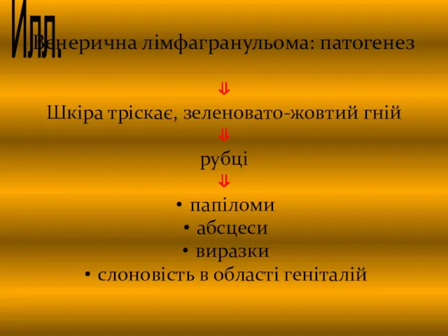 Венерична лімфагранульома: патогенез ⇓ Шкіра тріскає, зеленовато-жовтий гній ⇓ рубці