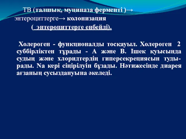 ТВ (талшық, муциназа ферменті )→ энтероциттерге→ колонизация ( энтероциттерге енбейді).