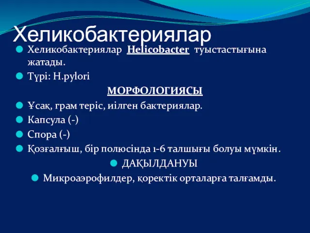 Хеликобактериялар Хеликобактериялар Helicobacter туыстастығына жатады. Түрі: H.pylori МОРФОЛОГИЯСЫ Ұсақ, грам