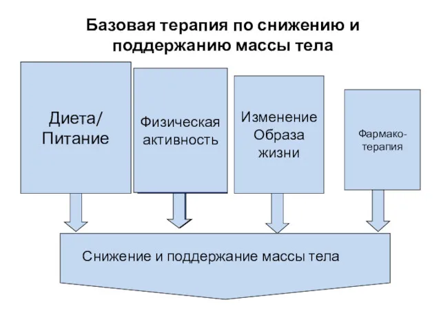 Базовая терапия по снижению и поддержанию массы тела Диета/ Питание