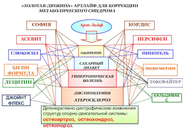 «ЗОЛОТАЯ-ДЮЖИНА» АРТЛАЙФ ДЛЯ КОРРЕКЦИИ МЕТАБОЛИЧЕСКОГО СИНДРОМА Арт Лайф СОФИЯ АСЕВИТ