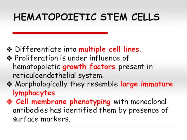 HEMATOPOIETIC STEM CELLS Differentiate into multiple cell lines. Proliferation is