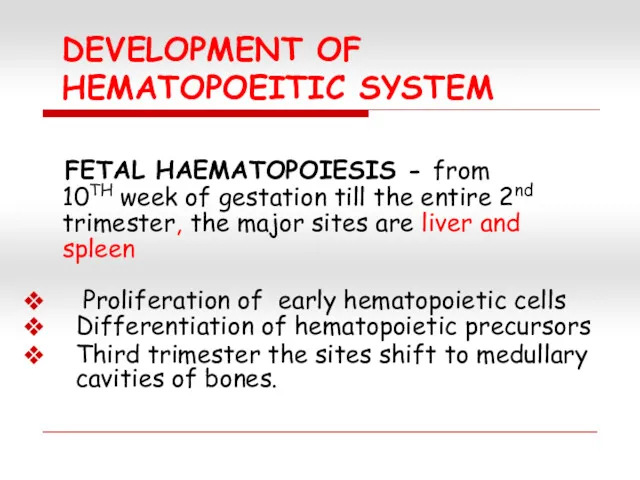 DEVELOPMENT OF HEMATOPOEITIC SYSTEM FETAL HAEMATOPOIESIS - from 10TH week of gestation till