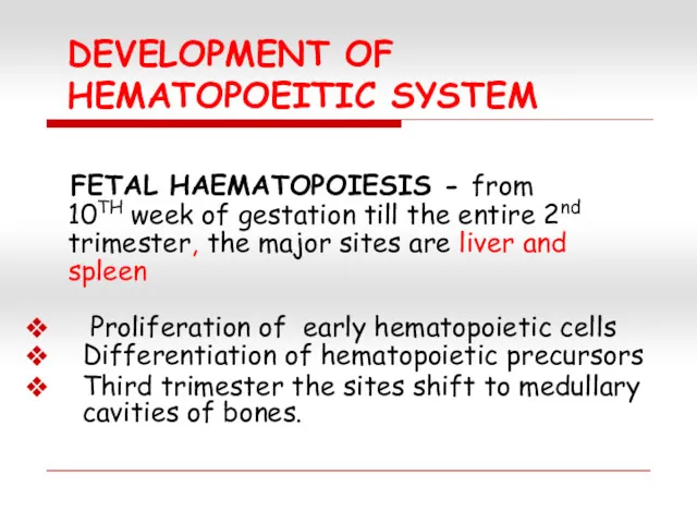 DEVELOPMENT OF HEMATOPOEITIC SYSTEM FETAL HAEMATOPOIESIS - from 10TH week