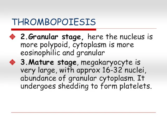 THROMBOPOIESIS 2.Granular stage, here the nucleus is more polypoid, cytoplasm is more eosinophilic