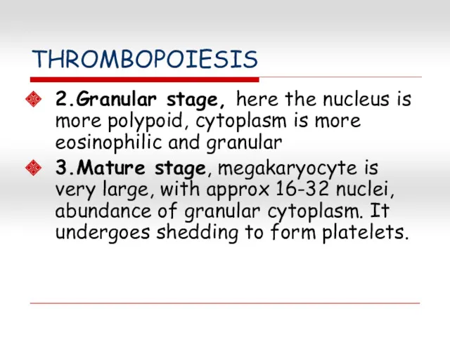 THROMBOPOIESIS 2.Granular stage, here the nucleus is more polypoid, cytoplasm