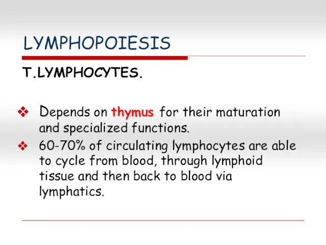 LYMPHOPOIESIS T.LYMPHOCYTES. Depends on thymus for their maturation and specialized functions. 60-70% of