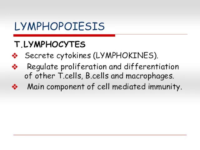 LYMPHOPOIESIS T.LYMPHOCYTES Secrete cytokines (LYMPHOKINES). Regulate proliferation and differentiation of