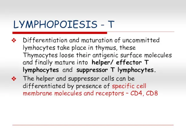 LYMPHOPOIESIS - T Differentiation and maturation of uncommitted lymhocytes take place in thymus,