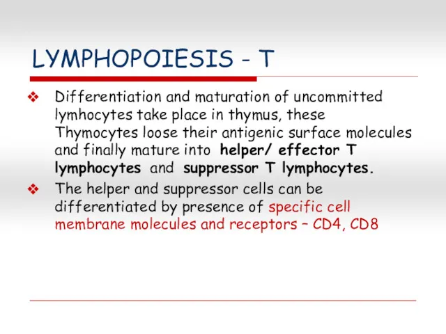 LYMPHOPOIESIS - T Differentiation and maturation of uncommitted lymhocytes take