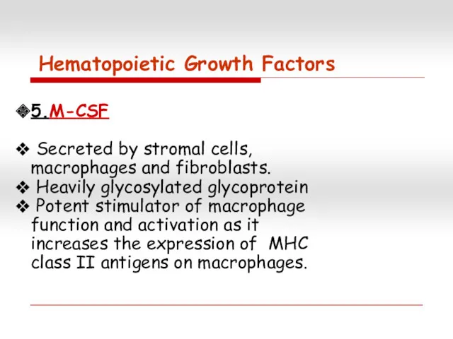 5.M-CSF Secreted by stromal cells, macrophages and fibroblasts. Heavily glycosylated