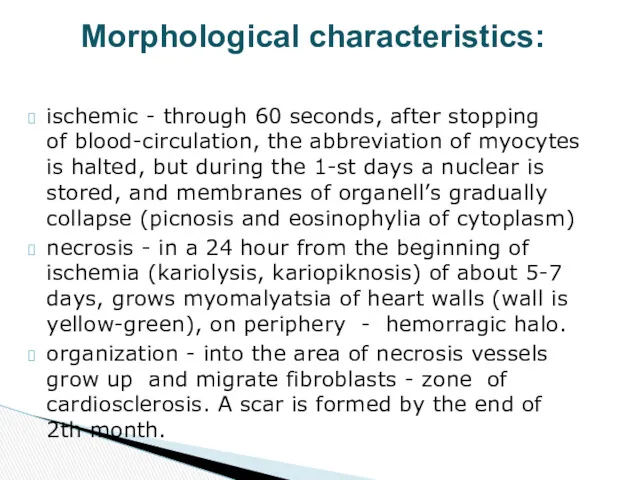 ischemic - through 60 seconds, after stopping of blood-circulation, the abbreviation of myocytes