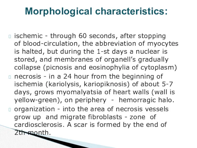 ischemic - through 60 seconds, after stopping of blood-circulation, the