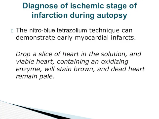 The nitro-blue tetrazolium technique can demonstrate early myocardial infarcts. Drop a slice of