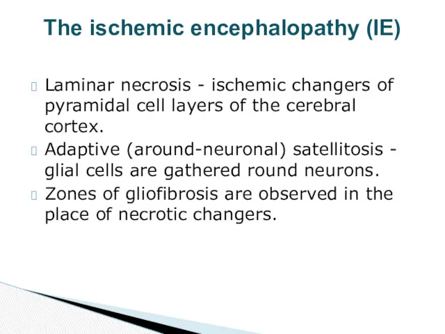 Laminar necrosis - ischemic changers of pyramidal cell layers of