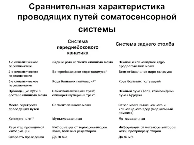 Сравнительная характеристика проводящих путей соматосенсорной системы