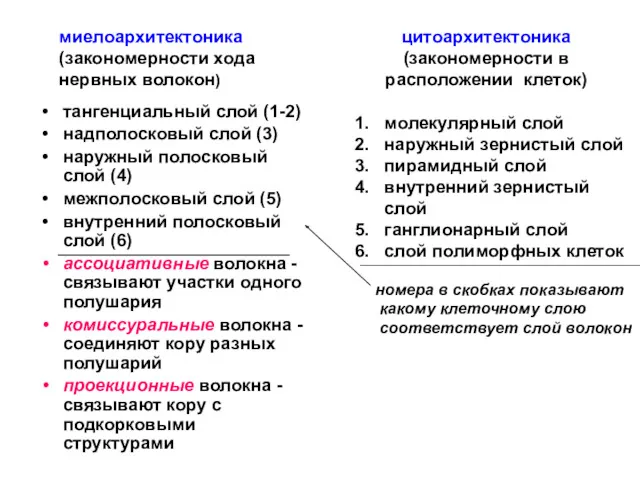 тангенциальный слой (1-2) надполосковый слой (3) наружный полосковый слой (4)