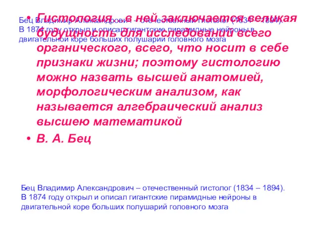 Бец Владимир Александрович – отечественный гистолог (1834 – 1894). В 1874 году открыл