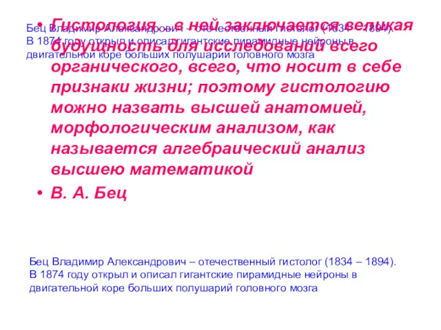 Бец Владимир Александрович – отечественный гистолог (1834 – 1894). В