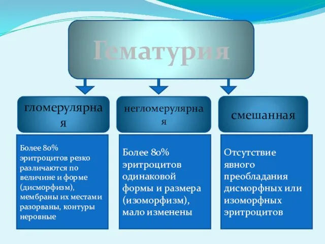 Гематурия гломерулярная смешанная негломерулярная Более 80% эритроцитов резко различаются по