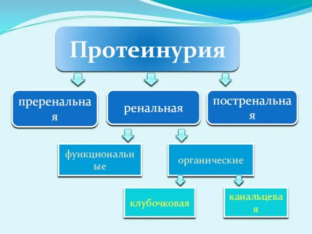 Протеинурия преренальная ренальная постренальная функциональные органические клубочковая канальцевая