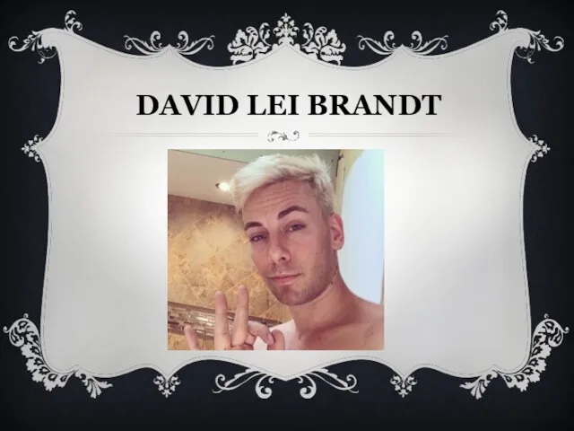 DAVID LEI BRANDT