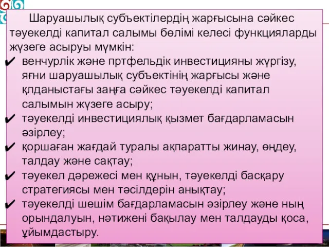 Шаруашылық субъектілердің жарғысына сәйкес тәуекелді капитал салымы бөлімі келесі функцияларды