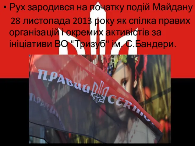 Рух зародився на початку подій Майдану 28 листопада 2013 року як спілка правих