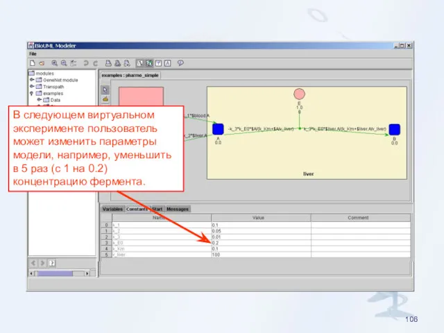 В следующем виртуальном эксперименте пользователь может изменить параметры модели, например,