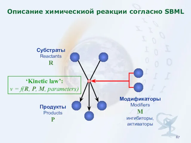 Описание химическиой реакции согласно SBML Субстраты Reactants R Продукты Products