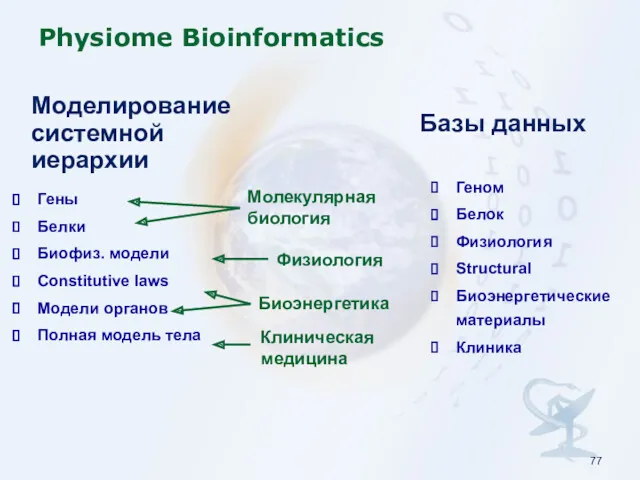 Physiome Bioinformatics Гены Белки Биофиз. модели Constitutive laws Модели органов