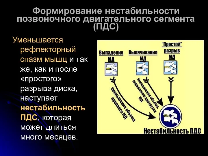 Формирование нестабильности позвоночного двигательного сегмента (ПДС) Уменьшается рефлекторный спазм мышц