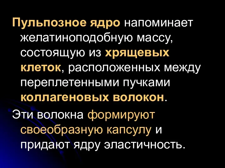 Пульпозное ядро напоминает желатиноподобную массу, состоящую из хрящевых клеток, расположенных