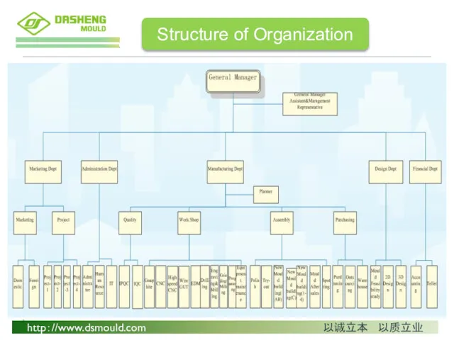 Structure of Organization