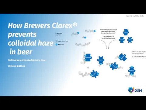 How Brewers Clarex® prevents colloidal haze in beer Stabilize by specifically degrading haze sensitive proteins