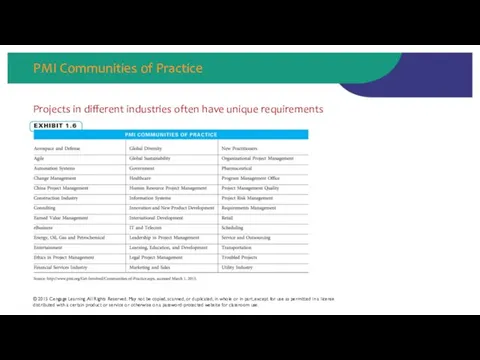 PMI Communities of Practice Projects in different industries often have unique requirements ©