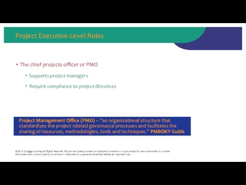 Project Executive-Level Roles The chief projects officer or PMO Supports project managers Require