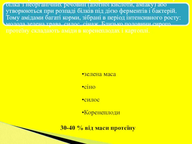 Аміди представляють собою продукти незавершеного синтезу білка з неорганічних речовин