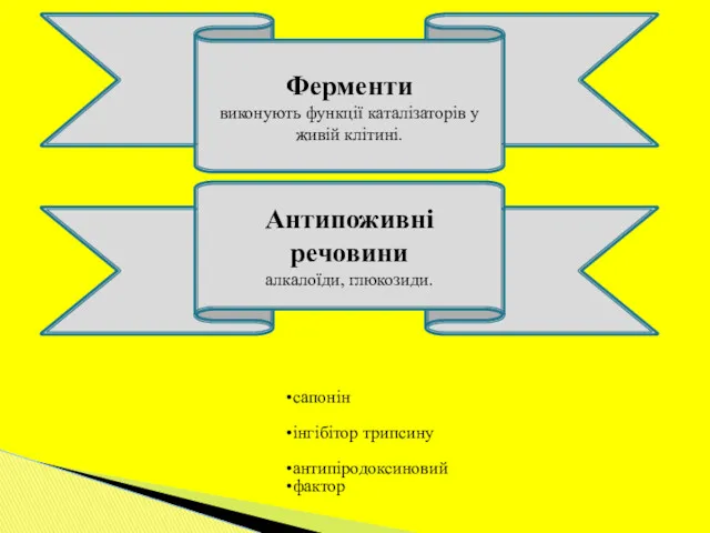 Ферменти виконують функції каталізаторів у живій клітині. Антипоживні речовини алкалоїди, глюкозиди. сапонін інгібітор трипсину антипіродоксиновий фактор