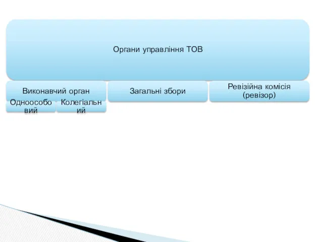 Органи управління ТОВ Виконавчий орган Одноособовий Колегіальний Загальні збори Ревізійна комісія (ревізор)