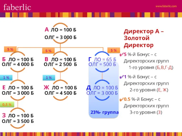 Директор А – Золотой Директор 5 %-й Бонус – с