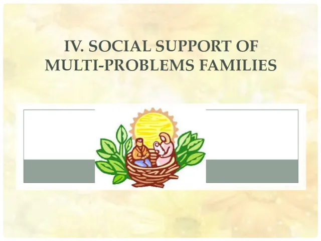 IV. SOCIAL SUPPORT OF MULTI-PROBLEMS FAMILIES