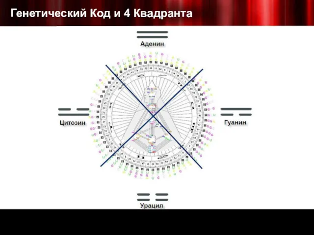 Генетический Код и 4 Квадранта