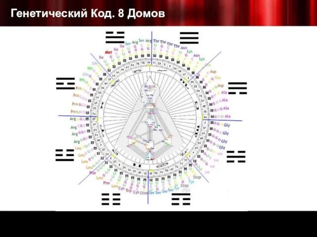 Генетический Код. 8 Домов