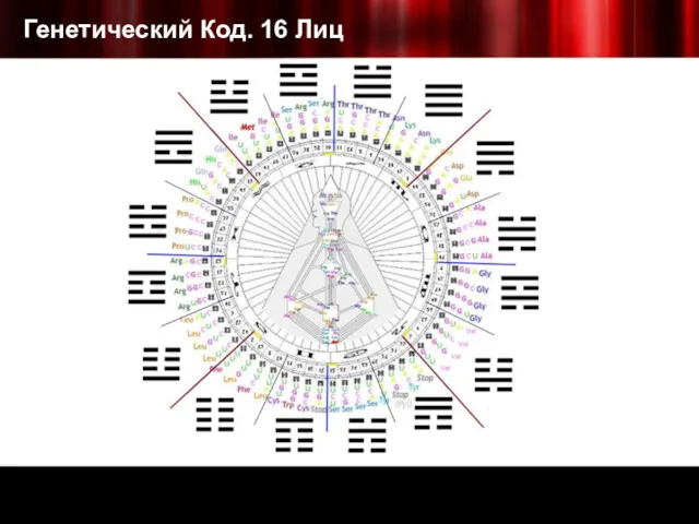 Генетический Код. 16 Лиц