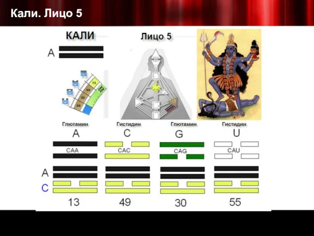 Кали. Лицо 5