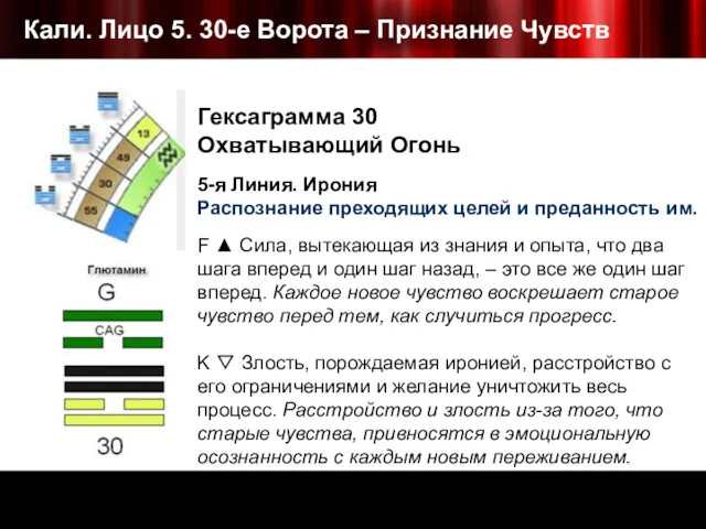 Кали. Лицо 5. 30-е Ворота – Признание Чувств Гексаграмма 30