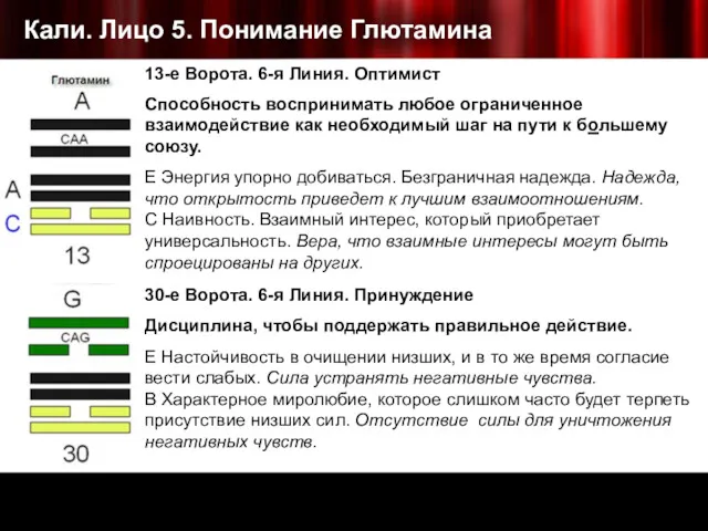 Кали. Лицо 5. Понимание Глютамина 13-е Ворота. 6-я Линия. Оптимист