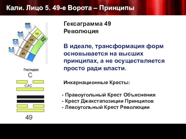 Кали. Лицо 5. 49-е Ворота – Принципы Гексаграмма 49 Революция